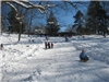 Sledding down Glen Providence Park Hill