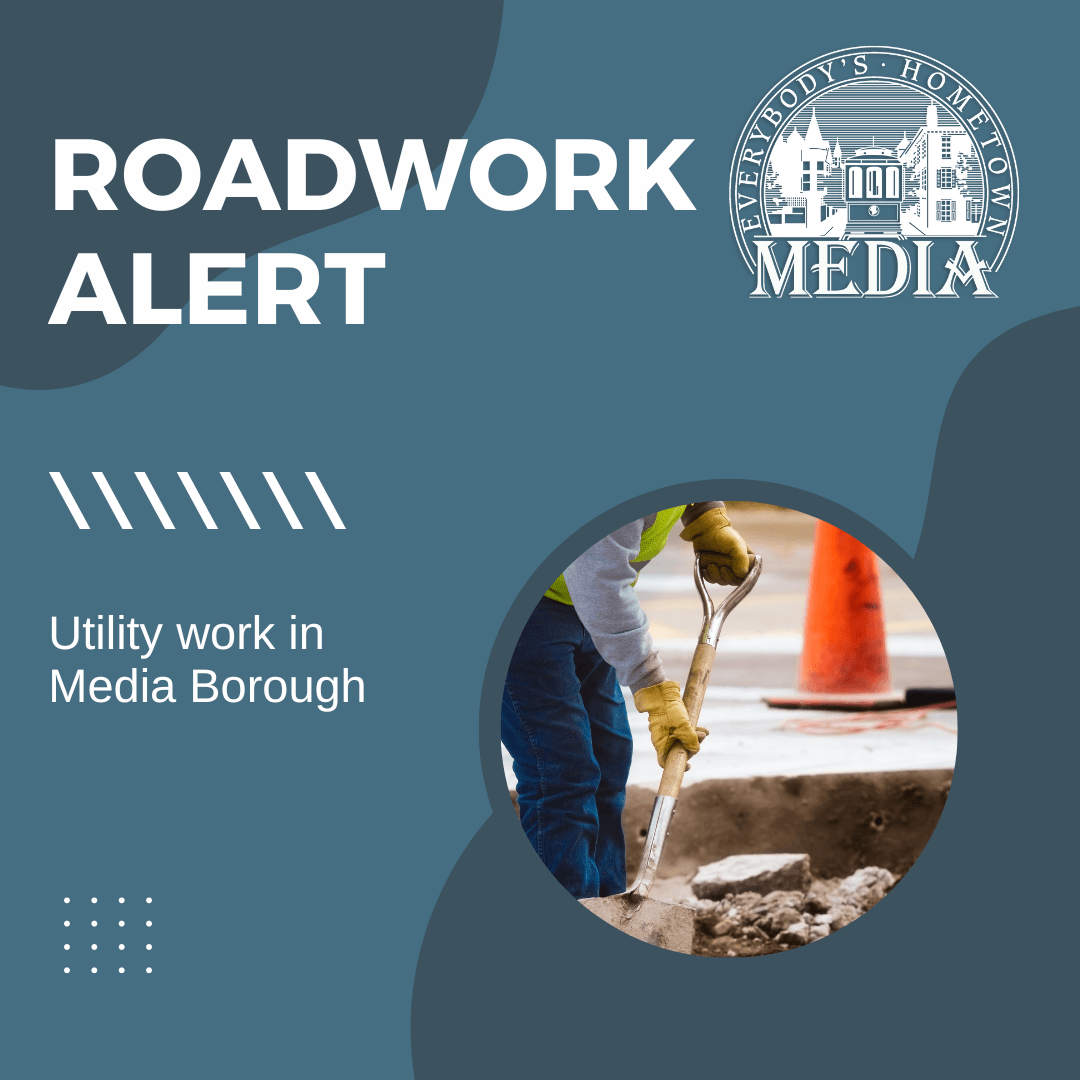 trash Media Borough alert (2)