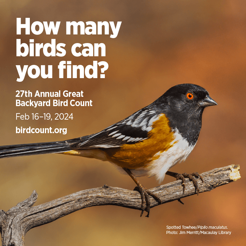 GBBC_Web_Square_2024_for SOCIAL MEDIA