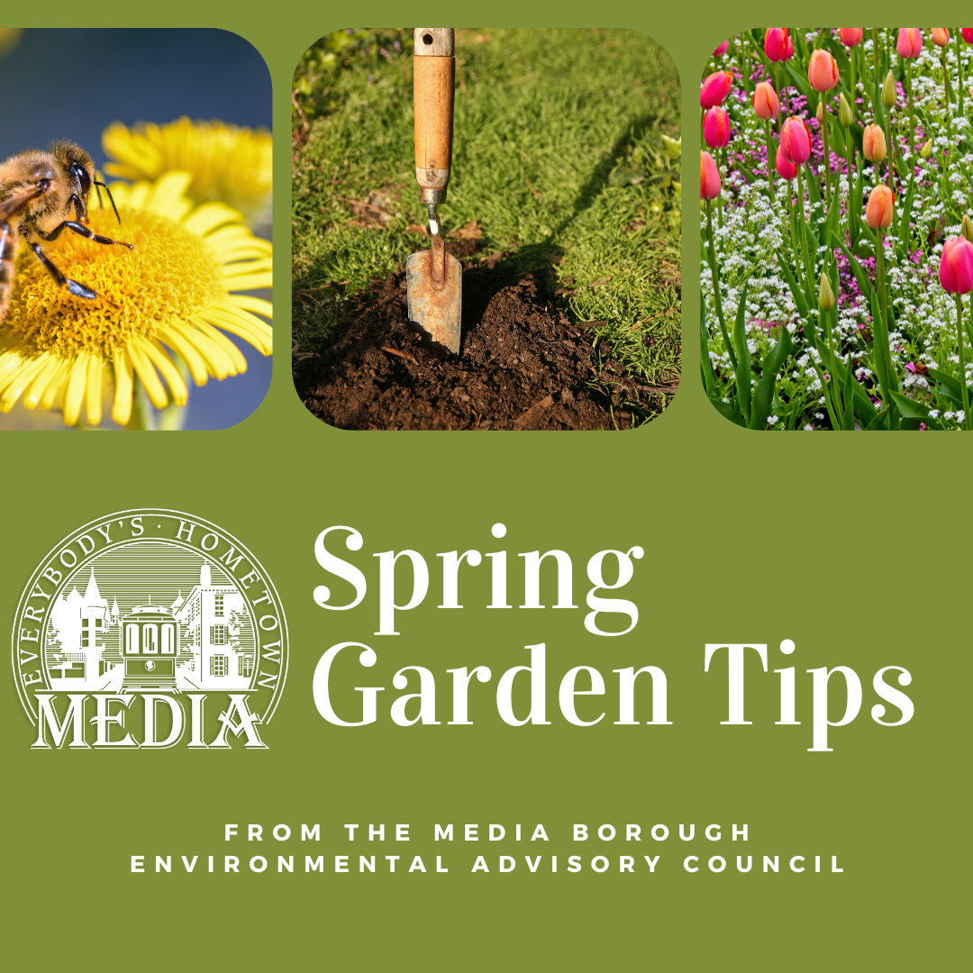 Spring Garden Tips