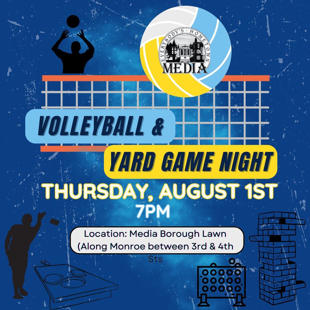 Volleyball Yard Game Night (1)