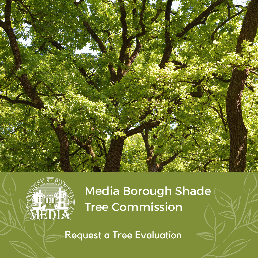 Shade Tree Evaluation Request form