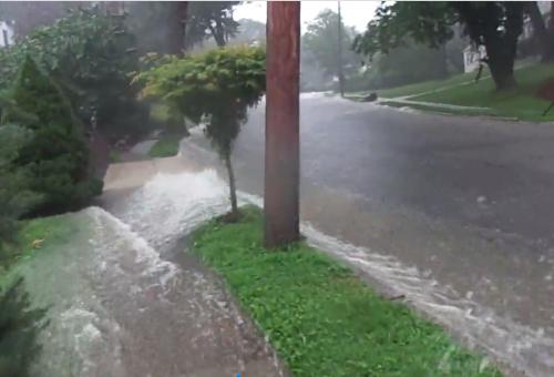 Stormwater on N Olive Street
