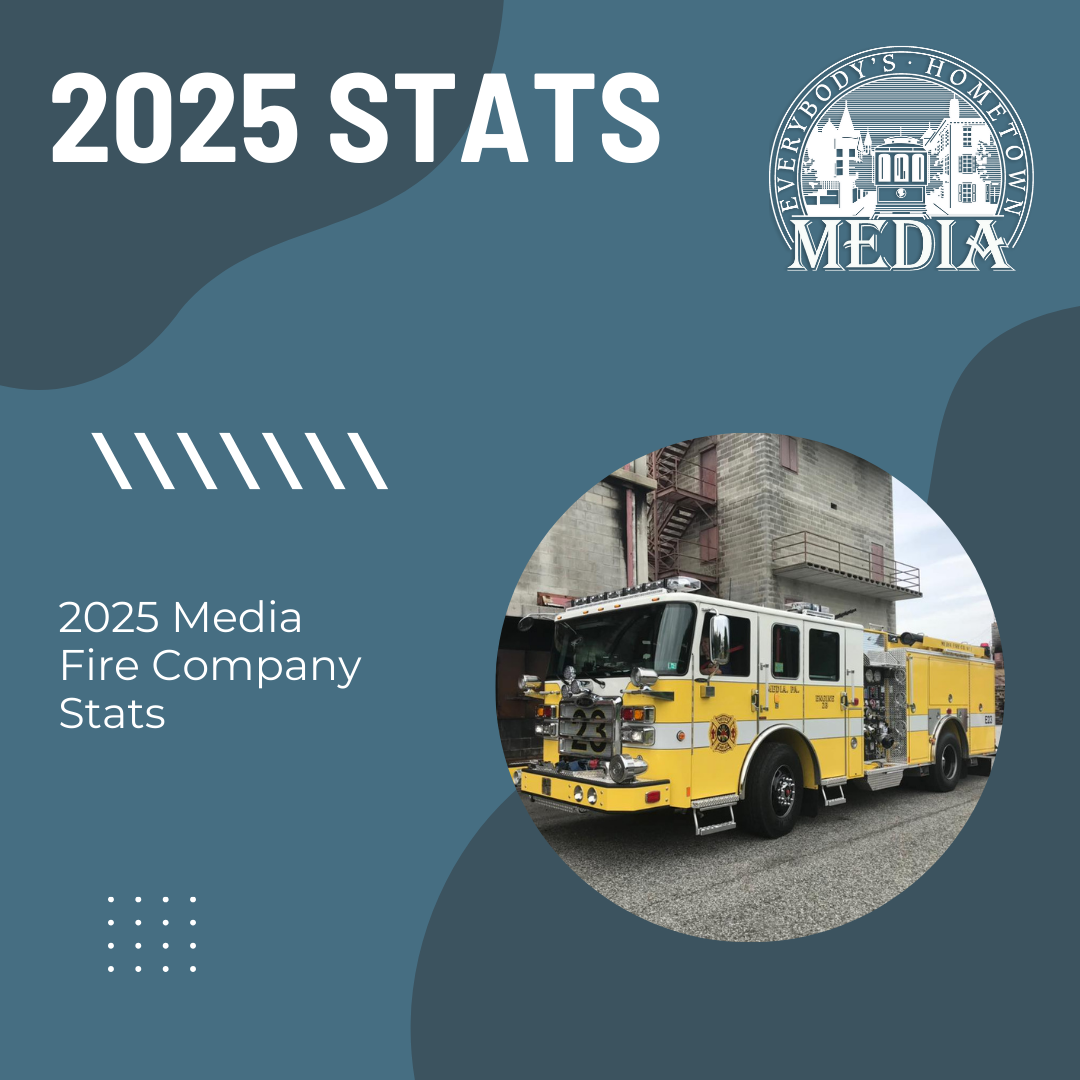 2025 Media Fire Company Stats