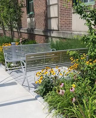 Benches at Dimond Park