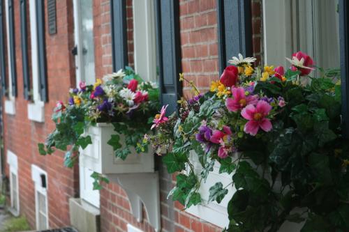 Window flower boxes