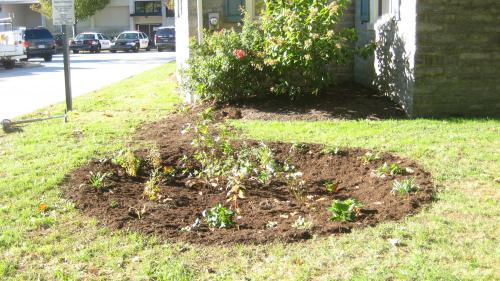 Garden near the Media Municipal center