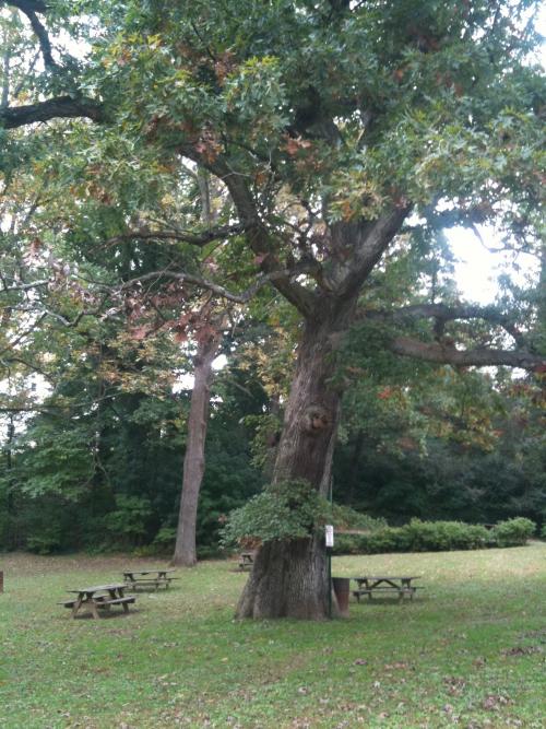 Glen Providence Park