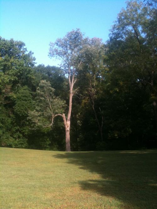 Glen Providence Park