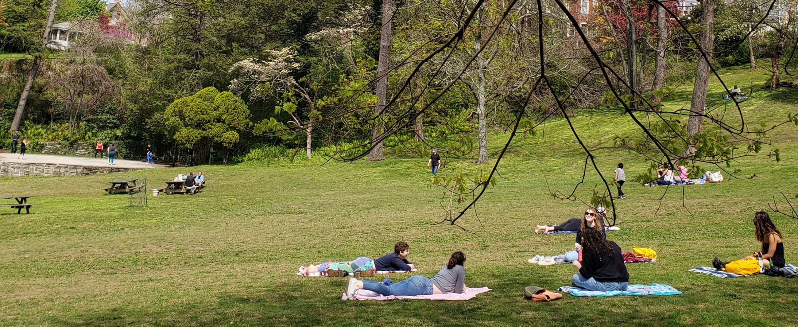 Glen Providence Park