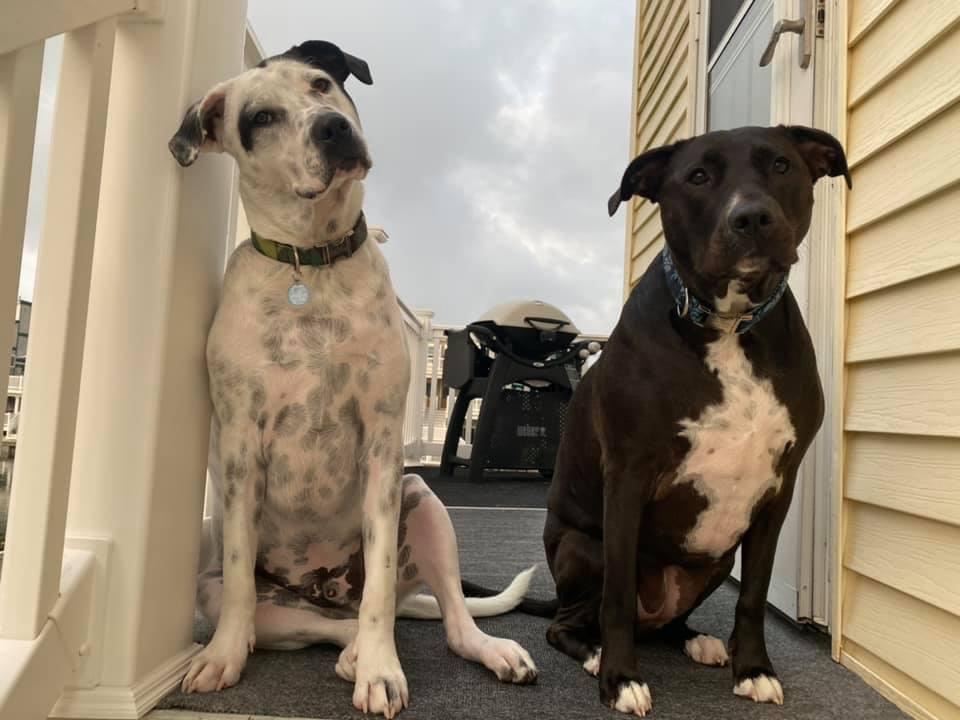 92F2D061-3ED8-4894-8DDB-96B500BA6071